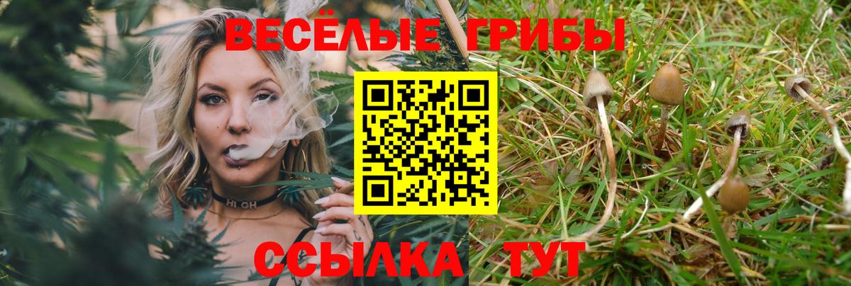 Санкт-Петербург  Псилоцибиновые грибы прущие грибы  Вход с VPN 